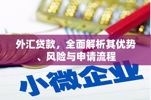 格尔木外汇贷款，全面解析其优势、风险与申请流程