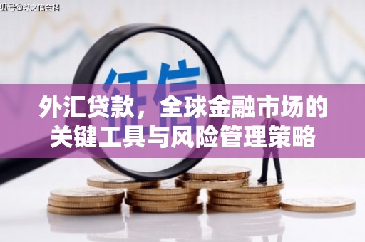 格尔木外汇贷款，全球金融市场的关键工具与风险管理策略