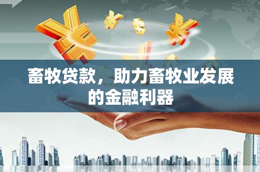 格尔木畜牧贷款，助力畜牧业发展的金融利器
