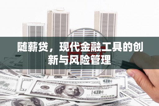 格尔木随薪贷，现代金融工具的创新与风险管理