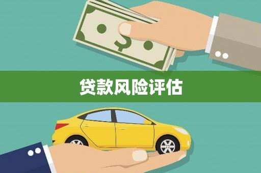 格尔木贷款风险评估