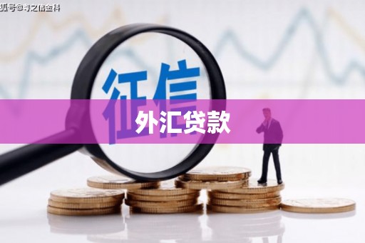 格尔木外汇贷款