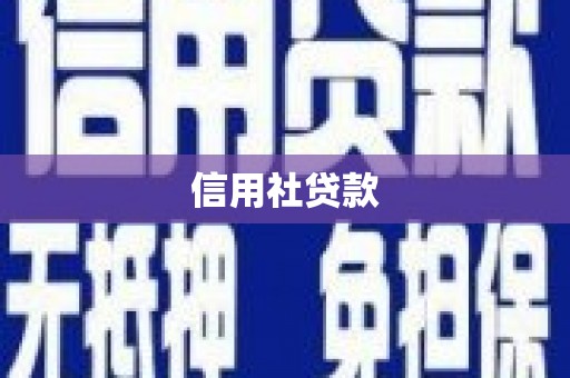 格尔木信用社贷款