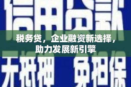 格尔木税务贷，企业融资新选择，助力发展新引擎