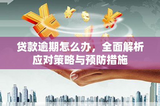 格尔木贷款逾期怎么办，全面解析应对策略与预防措施