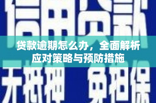 格尔木贷款逾期怎么办，全面解析应对策略与预防措施