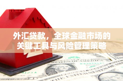 格尔木外汇贷款，全球金融市场的关键工具与风险管理策略