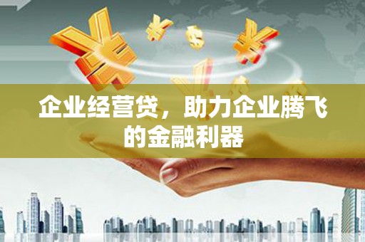 格尔木企业经营贷，助力企业腾飞的金融利器