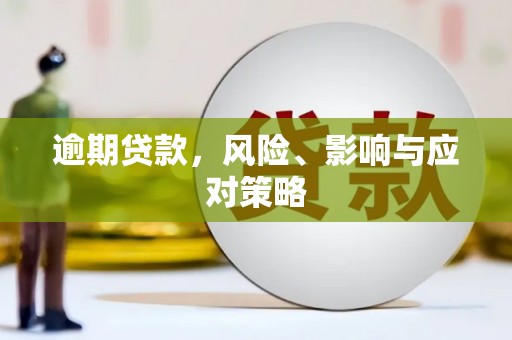 格尔木逾期贷款，风险、影响与应对策略
