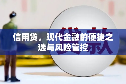 格尔木信用贷，现代金融的便捷之选与风险管控