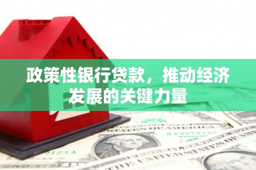 格尔木政策性银行贷款，推动经济发展的关键力量