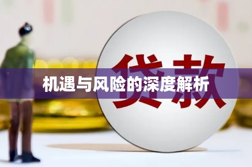 格尔木机遇与风险的深度解析