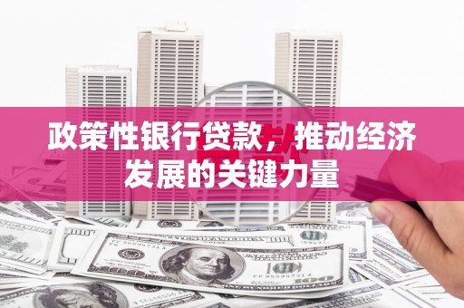 格尔木政策性银行贷款，推动经济发展的关键力量