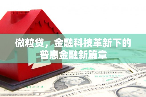 格尔木微粒贷，金融科技革新下的普惠金融新篇章