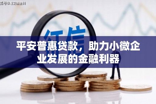 格尔木平安普惠贷款，助力小微企业发展的金融利器