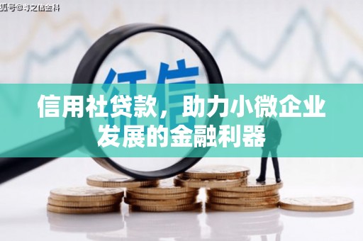 格尔木信用社贷款，助力小微企业发展的金融利器