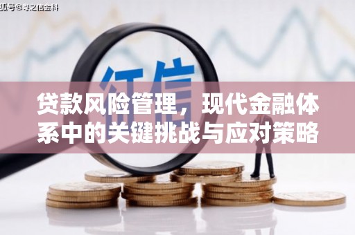 格尔木贷款风险管理，现代金融体系中的关键挑战与应对策略