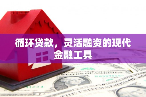 格尔木循环贷款，灵活融资的现代金融工具