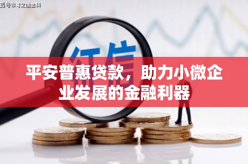 格尔木平安普惠贷款，助力小微企业发展的金融利器