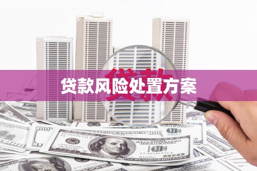 格尔木贷款风险处置方案