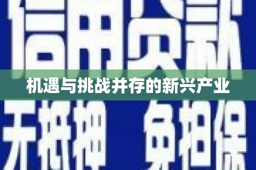 格尔木机遇与挑战并存的新兴产业
