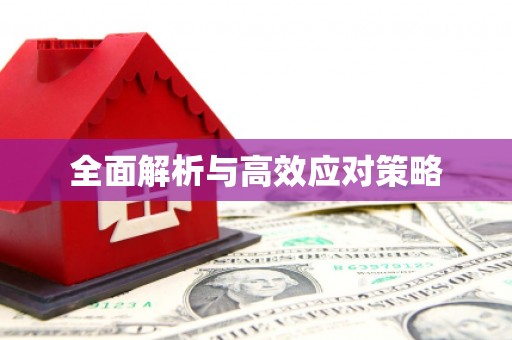 格尔木全面解析与高效应对策略